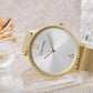 Zegarek Damski CALVIN KLEIN Timeless Mesh 25200003 + BOX